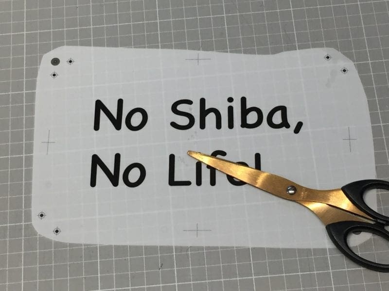 フィルムを適当なサイズにカットします。
